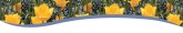 Summer Email Banner