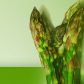 Aparagus Email Graphic