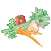 Vegetable Email Graphic
