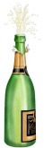 Champagne Bottle Image