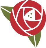 Art Nouveau Rose