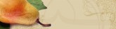 Cafe Email Banner