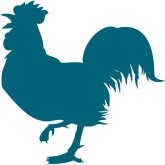 Rooster Clipart