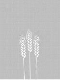Gray Wheat Menu Background