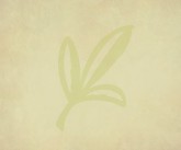 Leaf Email Background