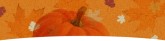Autumn Email Banner