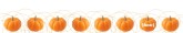 Pumpkin Email Footer