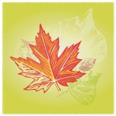 Autumn Email Graphic