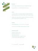 St Patricks Shamrock Menu