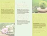 Spa Treatment Trifold Page