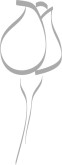 Gray Rose Lines