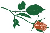 Romantic Red Rose Sprig