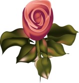 Paper Rose Clipart