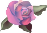 Purple Realistic Rose