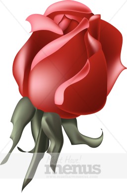 Red Menu Rose