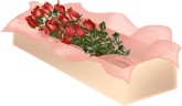 Box of Roses Clipart
