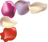 Purple and Pink Rose Menu Corner