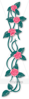 Pink Roses with Drop Shadow Side