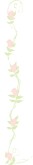 Faded Pink Roses Menu Side