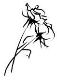 Pair of Roses Clipart