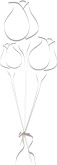 Three Tied Line Art Flowers