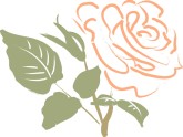 Peach Menu Rose Accent