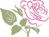 Hot Pink Flourish Rose
