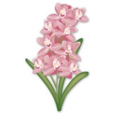 Pink Orchid Clipart