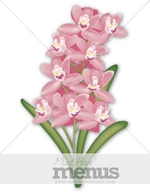 Pink Orchid Clipart