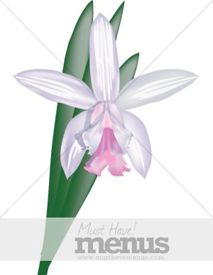 Cattleya Clipart