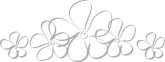 Daisy Line Art