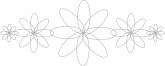 Geometric Daisies Menu Divider