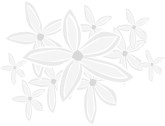 Gray Daisy Field Menu Backdrop