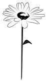Single Open Daisy Line Art