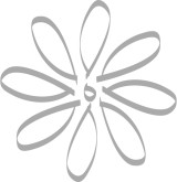 Line Drawing Flower Accent