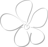 Gray Line Spring Menu Accent