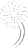 Geometric Flower with Swoop