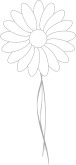 Flower with Vine Streamers