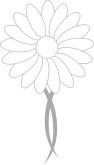 Gray Flower with Two Swoops