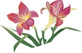 Iris Flower Clipart