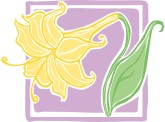 Spring Daisy Box