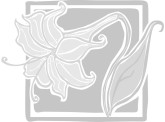 Spring Daisy Box Grayscale