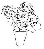 Brushstroke Hydrangea Sketch