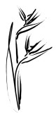 Flower Sketch Clipart