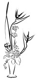 Flower Bouquet Sketch Clipart