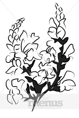 Snapdragon Blossom Clipart