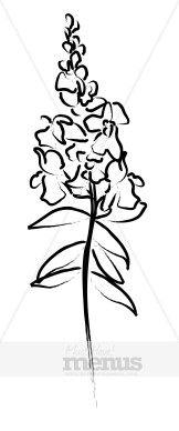 Snapdragon Flower Clipart