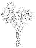 Bouqet of Tulips Line art