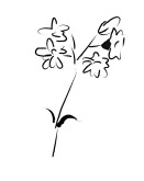 Brushstroke Baby's Breath Accent
