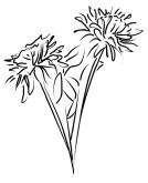 Brushstroke Mums Menu Flourish